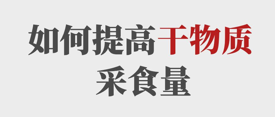 做到這5點提高育肥牛的干物質(zhì)采食量！